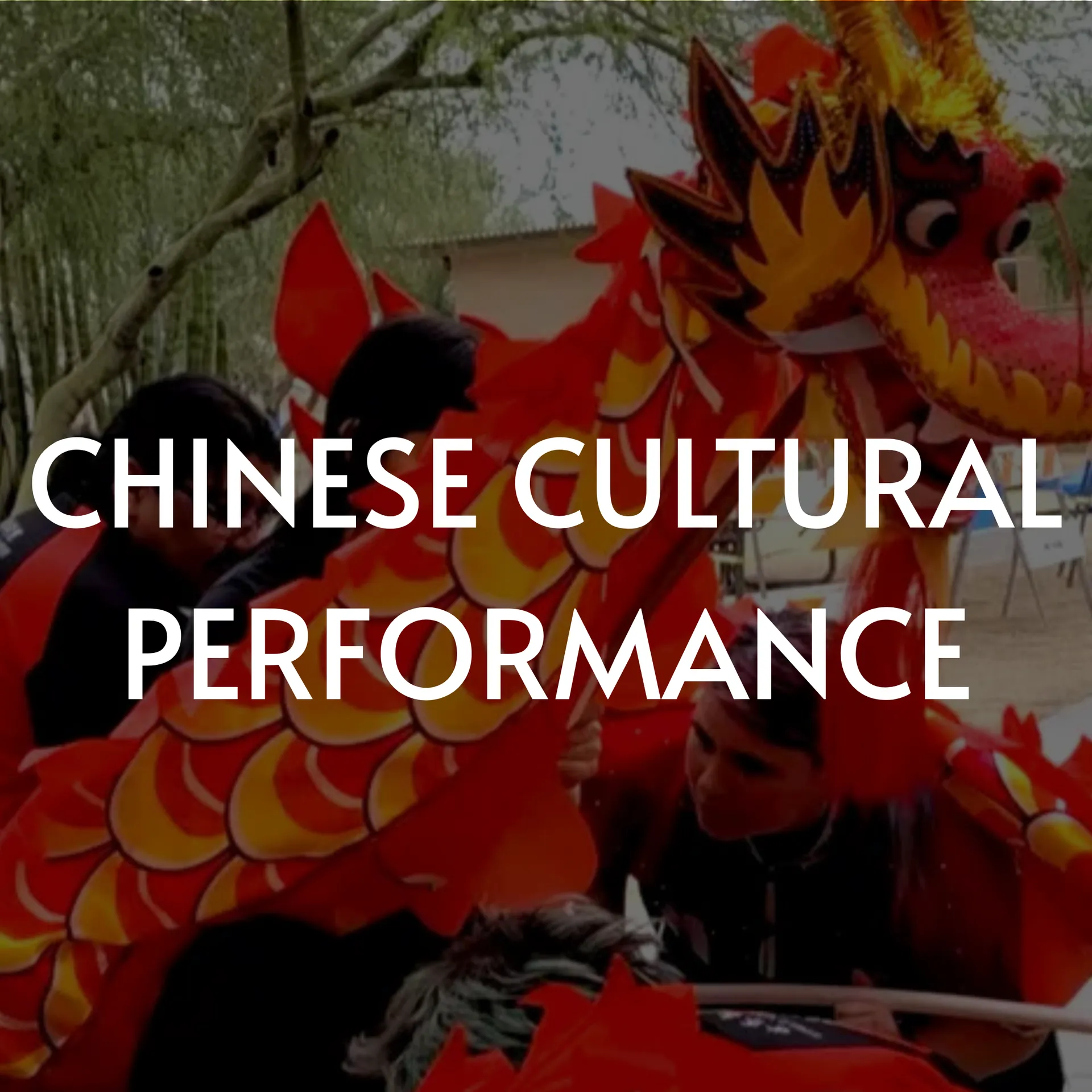 Chinese dragon dance performance, vibrant red and yellow dragon with performers.